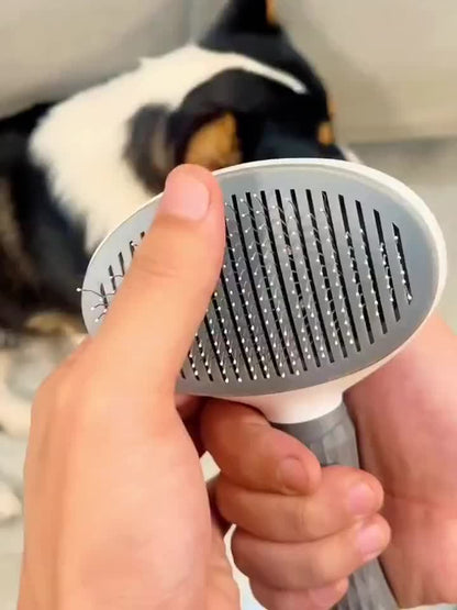 Pet Hair Brush