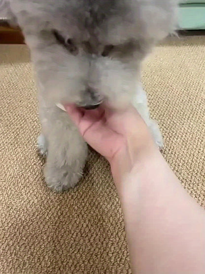 Automatic Roller Ball Toys - for dogs and cats