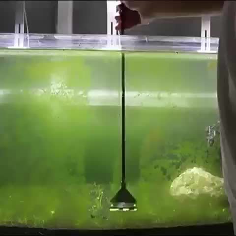 Fish Tank Cleaning Tool