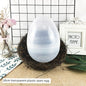 Xibao Eggshell Funny Lottery DIY Handmade